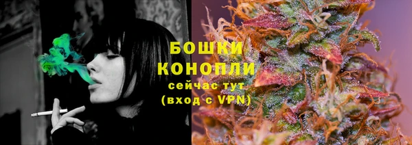 PSILOCYBIN Беломорск